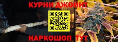 молекула духа Будённовск