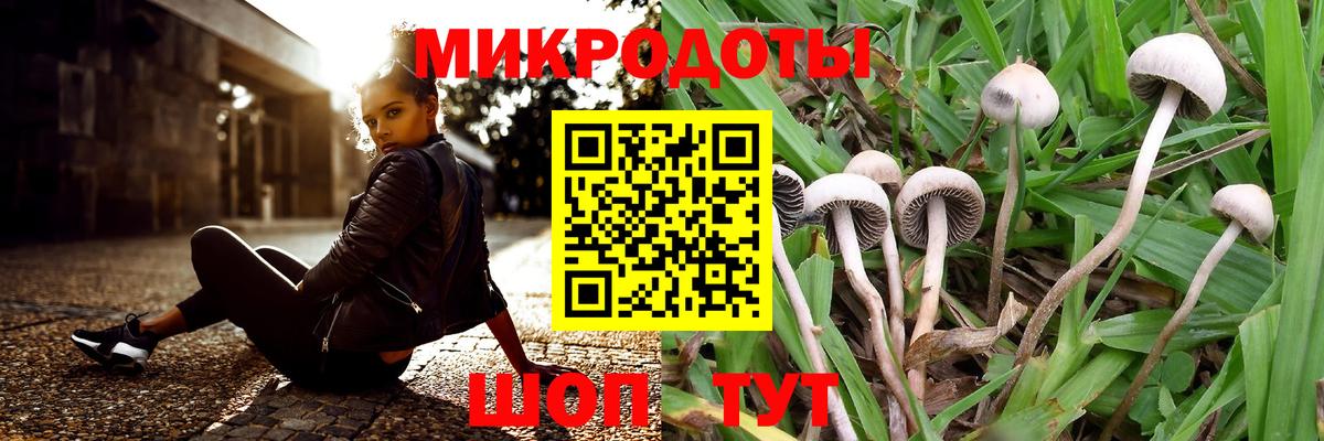 Галлюциногенные грибы Psilocybe  Вход с VPN  Озёрск 
